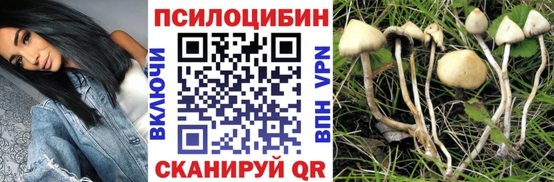 Псилоцибиновые грибы мухоморы даркнет сайт Белый